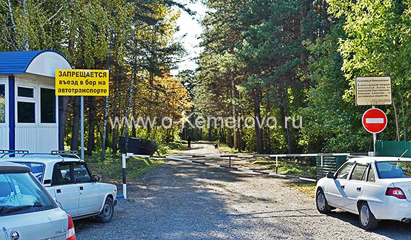 Шлагбаум в сосновом бору в Кемерово Шлагбаум в сосновом бору в Кемерово