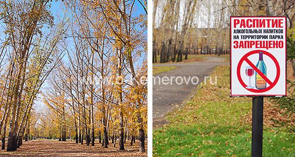 В Комсомольском парке Кемерово
