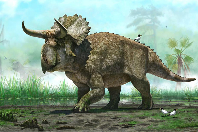 dinozavr-Nazutotseratops.jpg