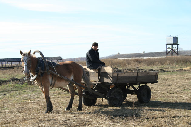 selskoe-hozyaystvo-derevnya.jpg