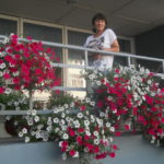 uz_petunii-2-e1589533257314.jpg