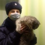 novokuzneczk_operupolnomochennyj-ugolovnogo-rozyska-otdela-policzii-kuzneczkij-umvd-rossii-po-g.-novokuzneczku-mladshij-lejtenant-policzii-anton-ivashkin-i-koshka-bonya.jpeg