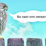 kvaly_1_obr-e1634873056178.jpg