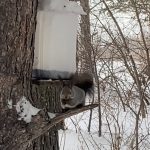 77e5d8ea-ac14-4cdf-b30f-0f92144ba158.jpeg