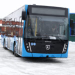 avtobusy-e1709789772956.jpg