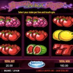 Чем отличаются классические слоты от видеослотов в Irwin Casino? Black Magic Fruits