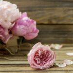 Пионы: цветы, которые говорят без слов beautiful-fresh-flowers-wooden-background-various-flowers-place-text-closeup_169016-4896