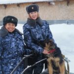 Выпускной в племенном питомнике sobaki.jpg