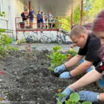 i-2026-06-16t105148.620.webp.webp.webp