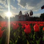Город Кемерово вошел в топ-10 претендентов на звание культурной столицы РоссииГород Кемерово вошел в топ-10 претендентов на звание культурной столицы России photo_2026-03-18_16-05-19.jpg