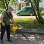 dvornik-nezrjachij.png