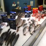 ryba-scaled-1.jpg